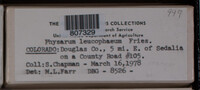 Image Associated With the Occurence